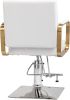 Salon Chair Styling Barber Chair, Beauty Salon Spa Equipment with Heavy Duty Hydraulic Pump, Adjustable Height & 360¬∞ Swivel for Barber Shop Hair Sty